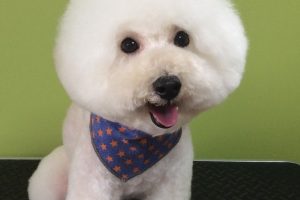 11月のお友達☆