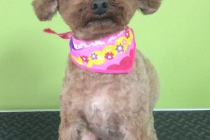 11月のお友達☆