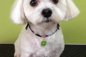 11月のお友達☆