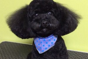 11月のお友達☆