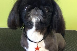 11月のお友達☆