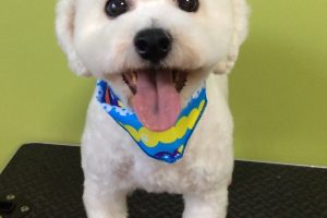 11月のお友達☆