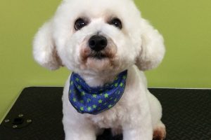 11月のお友達☆