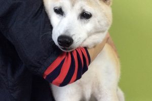 11月のお友達☆