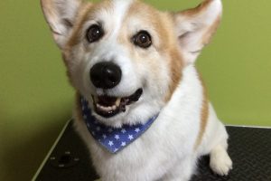 11月のお友達☆