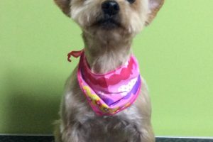 11月のお友達☆