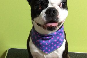 11月のお友達☆