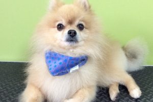 11月のお友達☆