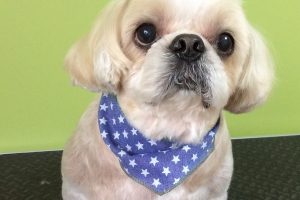 11月のお友達☆