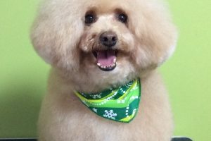 11月のお友達☆