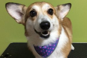 11月のお友達☆