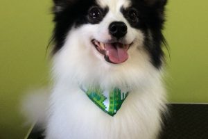 12月のお友達☆