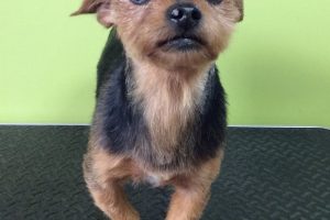 12月のお友達☆