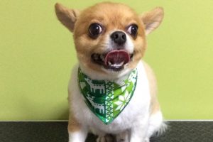 12月のお友達☆