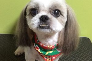 12月のお友達☆