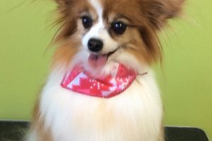 12月のお友達☆