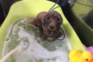 12月のお友達☆