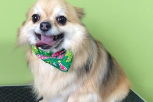 12月のお友達☆