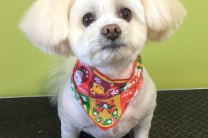 12月のお友達☆