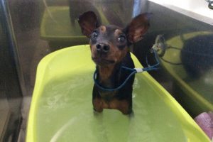 12月のお友達☆