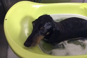 12月のお友達☆