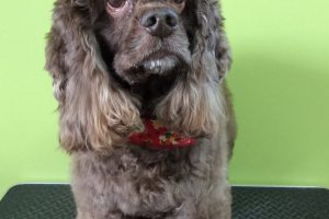 12月のお友達☆