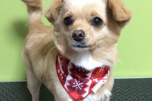 12月のお友達☆