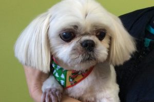 12月のお友達☆