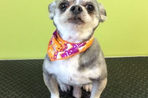 12月のお友達☆