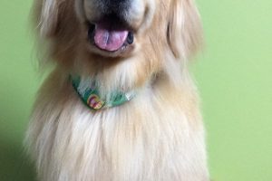 12月のお友達☆