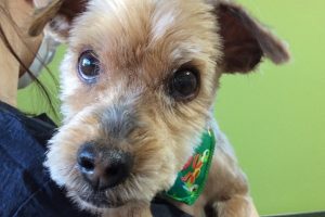 12月のお友達☆