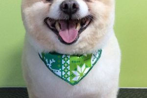 12月のお友達☆