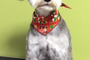 12月のお友達☆