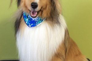 12月のお友達☆