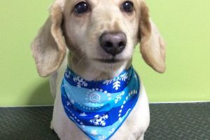 12月のお友達☆