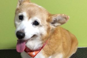 12月のお友達☆