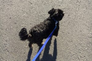 12月のお友達☆