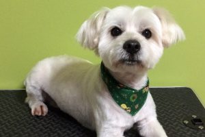 12月のお友達☆