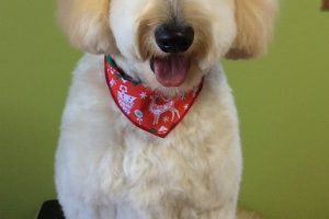 12月のお友達☆