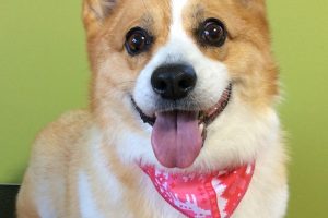 12月のお友達☆