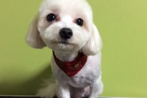 12月のお友達☆