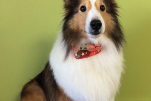 12月のお友達☆