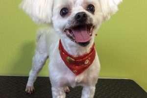 12月のお友達☆