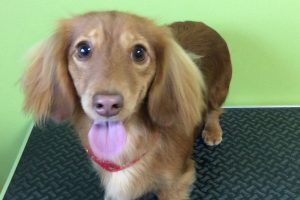 12月のお友達☆