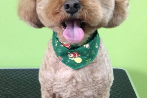 12月のお友達☆