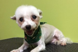 12月のお友達☆