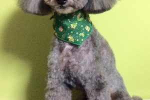 12月のお友達☆