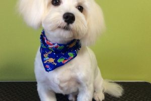 12月のお友達☆