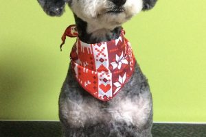 12月のお友達☆