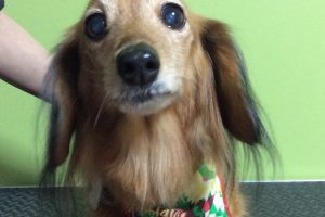 12月のお友達☆